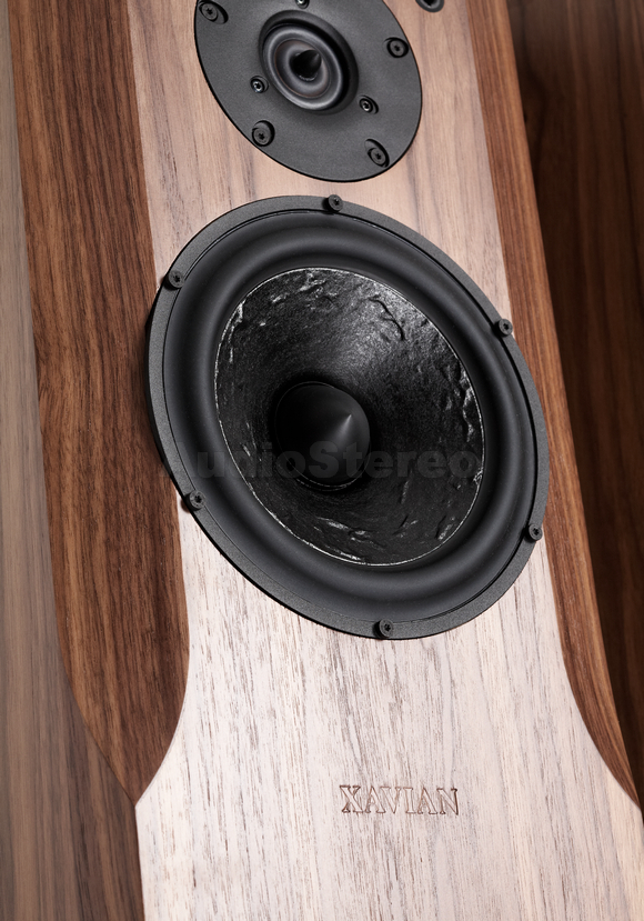 XAVIAN XN Virtuosa walnut finish 4 detail